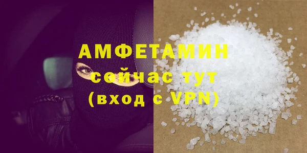 ECSTASY Алзамай