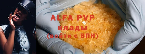 ECSTASY Алзамай