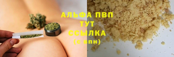 ECSTASY Алзамай
