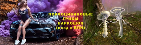 mdpv Алексин