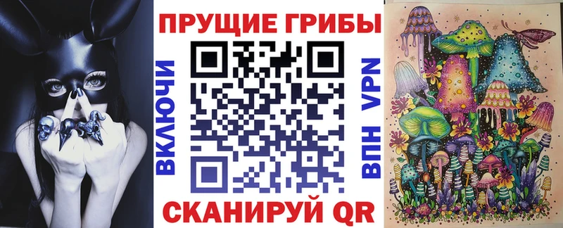 как найти   OMG как войти  Псилоцибиновые грибы прущие грибы  Чусовой 